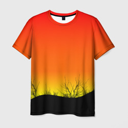 Мужская футболка 3D Закат и травы