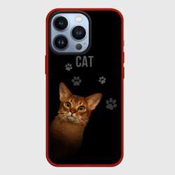 Чехол для iPhone 13 Pro Кошка абиссинец