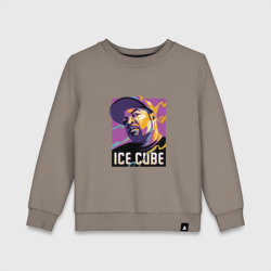 Детский свитшот хлопок Ice Cube