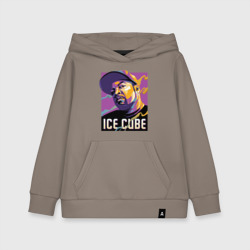 Детская толстовка хлопок Ice Cube