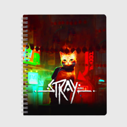 Тетрадь Stray: Бродяжка