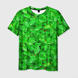 Футболка 3D Зелёные листья - текстура (Мужская)