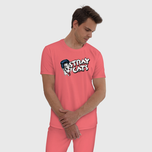 Мужская пижама хлопок с принтом StrayCats, фото на моделе #1