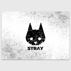 Поздравительная открытка Stray с потертостями на светлом фоне