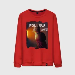 Мужской свитшот хлопок Stray follow meow
