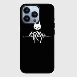 Чехол для iPhone 13 Pro Stray night cat