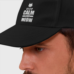 Бейсболка Stray - Keep Calm