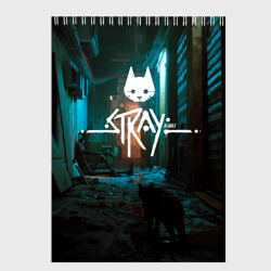 Скетчбук Stray - киберпанк