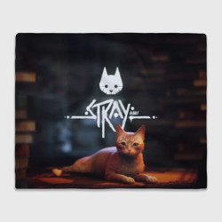 Плед 3D Лежащий Бродяга