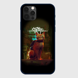 Чехол для iPhone 12 Pro Max Stray-Cat