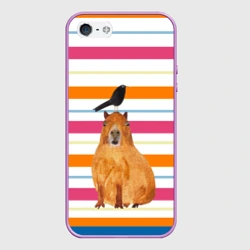 Чехол для iPhone 5/5S матовый Капибара с птичкой