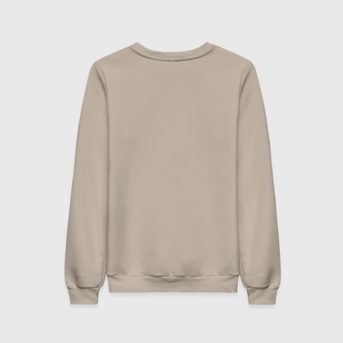 Женский свитшот хлопок с принтом Инквизиция, вид сзади #1