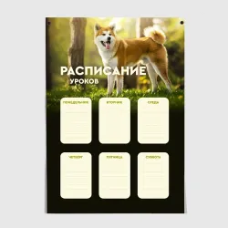 Постер Акита ину собака Расписание уроков