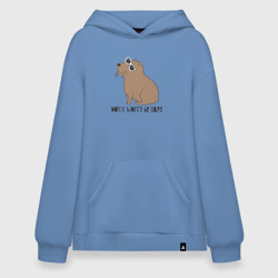 Худи SuperOversize хлопок Капибара в очках
