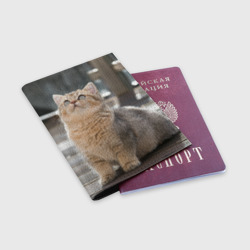 Обложка для паспорта матовая кожа Британская короткошёрстная кошка смотрит вверх - фото 2