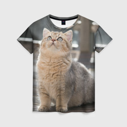 Женская футболка 3D Британская короткошёрстная кошка смотрит вверх