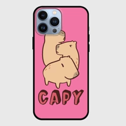 Чехол для iPhone 13 Pro Max Capy