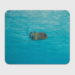 Прямоугольный коврик для мышки Подводный капибару