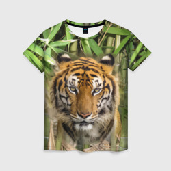 Женская футболка 3D Матёрый тигр в зарослях бамбука