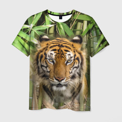 Матёрый тигр в зарослях бамбука – Мужская футболка 3D с принтом купить со скидкой в -26%