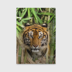 Обложка для автодокументов Матёрый тигр в зарослях бамбука