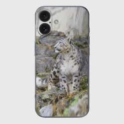 Чехол для iPhone 16 силиконовый с защитой камеры Снежный барс среди скал
