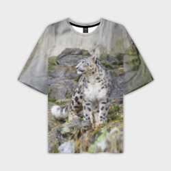 Снежный барс среди скал – Мужская футболка oversize 3D с принтом купить со скидкой в -50%