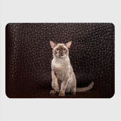 Картхолдер с принтом Лиловая бурманская кошка - фото 2
