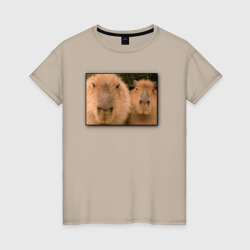 Женская футболка хлопок Два друга-капибары на портрете