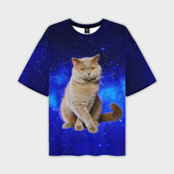 Мужская футболка oversize 3D Британский кот на фоне звёздного неба