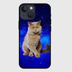 Чехол для iPhone 13 mini Британский кот на фоне звёздного неба