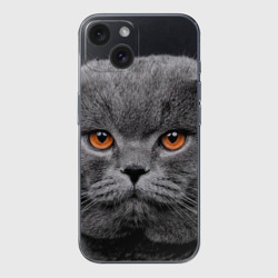 Чехол для iPhone 15 силиконовый с защитой камеры Британский серый кот