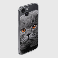 Чехол для iPhone 15 силиконовый с защитой камеры Британский серый кот - фото 2