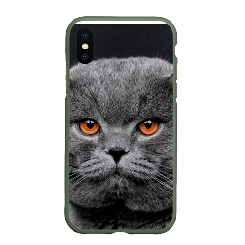 Чехол для iPhone XS Max матовый с принтом Британский серый кот, вид спереди #2