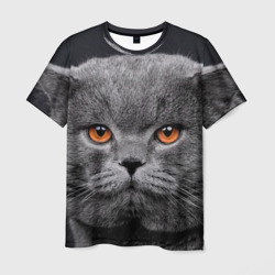 Мужская футболка 3D Британский серый кот