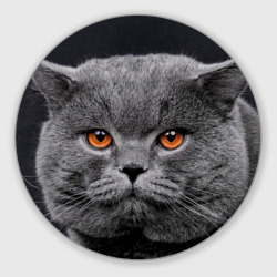 Круглый коврик для мышки Британский серый кот