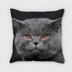 Подушка 3D Британский серый кот