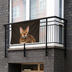 Флаг-баннер Молодая бенгальская кошка - фото 2
