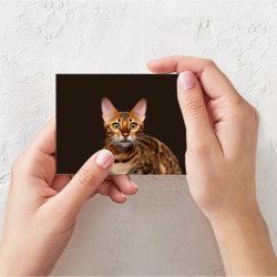 Поздравительная открытка Молодая бенгальская кошка - фото 2