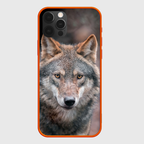 Чехол для iPhone 12 Pro Max с принтом Волк с грустными глазами, вид спереди #2