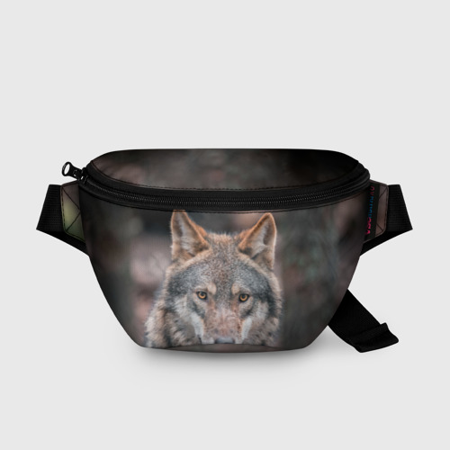 Поясная сумка 3D с принтом Волк с грустными глазами, вид спереди #2