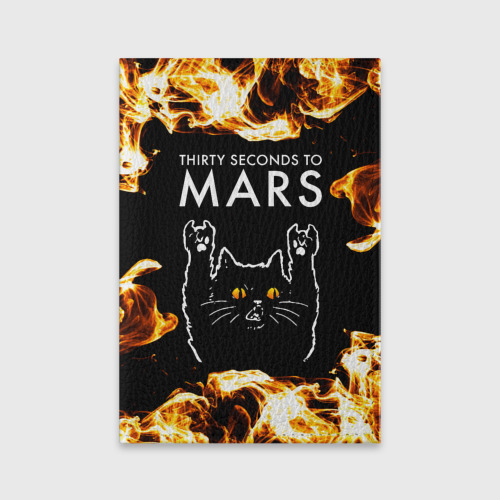 Обложка для паспорта матовая кожа Thirty Seconds to Mars рок кот и огонь, цвет пыльно-розовый