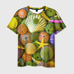 Мужская футболка 3D Композиция из морских звёзд и ракушек