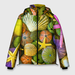 Мужская зимняя куртка 3D Композиция из морских звёзд и ракушек