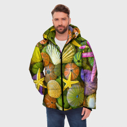 Мужская зимняя куртка 3D Композиция из морских звёзд и ракушек - фото 2