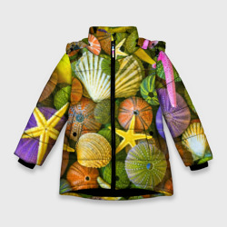 Зимняя куртка для девочек 3D Композиция из морских звёзд и ракушек