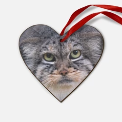 Деревянная игрушка Сердце Дикий кот манул - глаза