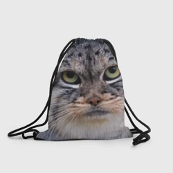 Рюкзак-мешок 3D Дикий кот манул - глаза