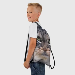 Рюкзак-мешок 3D Дикий кот манул - глаза - фото 2