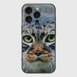 Чехол для iPhone 16 Pro силиконовый с защитой камеры Кошка породы манул